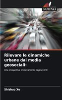 Rilevare le dinamiche urbane dai media geosociali