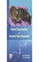 Gene Expression In Animal Development (HB)