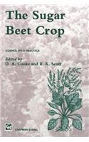 Sugar Beet Crop