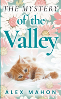 Mystery Of The Valley