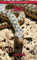 Snake: Amazing Facts & Pictures