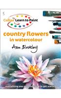 Country Flowers in Watercolour