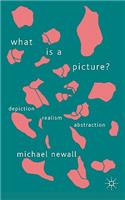 What is a Picture?