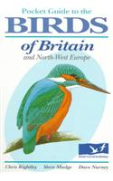 Pocket Guide to the Birds of Britain and North-West Europe