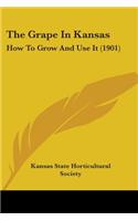The Grape In Kansas: How To Grow And Use It (1901)(English)