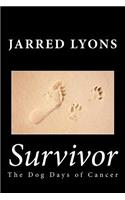 Survivor