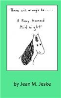There Will Always Be A Pony Named Midnight