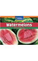Watermelons Us Ed