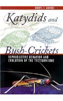 Katydids and Bush-Crickets