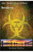 The Indestructibles