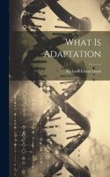 What is Adaptation