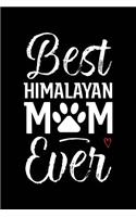 Best Himalayan Mom Ever