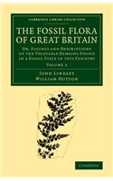 Fossil Flora of Great Britain