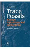 Trace Fossils