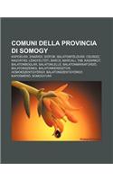Comuni Della Provincia Di Somogy: Kaposvar, Zamardi, Siofok, Balatonfoldvar, Csurgo, Nagyatad, Lengyeltoti, Barcs, Marcali, Tab, Kadarkut(Italian)