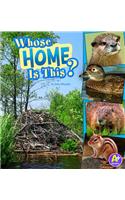 Whose Home Is This?