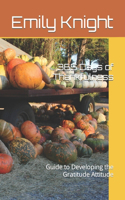 365 Days of Thankfulness