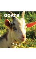 Goats Calendar 2017: 16 Month Calendar