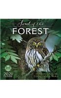 Soul of the Forest 2021 Wall Calendar: Traveling the Globe, Connecting the World