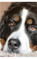 The Loving Eyes of a Bernese Mountain Dog Journal: Take Notes, Write Down Memories in this 150 Page Lined Journa