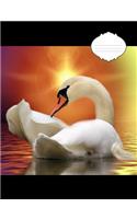 Swan in Sunlight