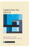 Core Tax Annual: Capital Gains Tax 2013/14