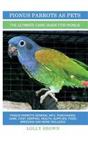 Pionus Parrots as Pets
