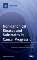 Non-canonical Kinases and Substrates in Cancer Progression