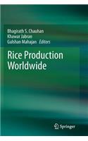 Rice Production Worldwide