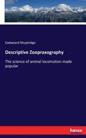 Descriptive Zoopraxography
