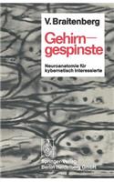 Gehirngespinste