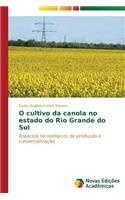 O cultivo da canola no estado do Rio Grande do Sul