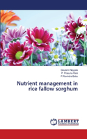 Nutrient management in rice fallow sorghum