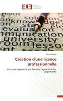 Cr�ation d'Une Licence Professionnelle