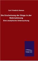 Die Erscheinung der Dinge in der Wahrnehmung