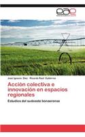 Accion Colectiva E Innovacion En Espacios Regionales