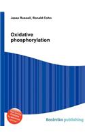 Oxidative Phosphorylation