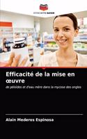 Efficacité de la mise en oeuvre