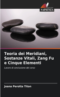 Teoria dei Meridiani, Sostanze Vitali, Zang Fu e Cinque Elementi