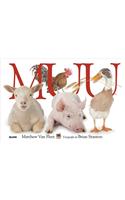 Muu