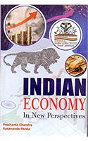 Indian Economy in New Perspectives