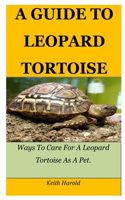 A Guide to Leopard Tortoise