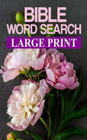 Bible Word: Search (Large Print)