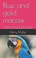 Blue and gold macaw