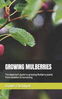 Growing Mulberries