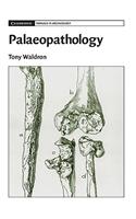 Palaeopathology