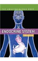 Endocrine System