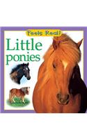 Little Ponies: (Feels Real Books)