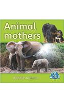 Animal Mothers