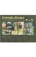 Animals Always
